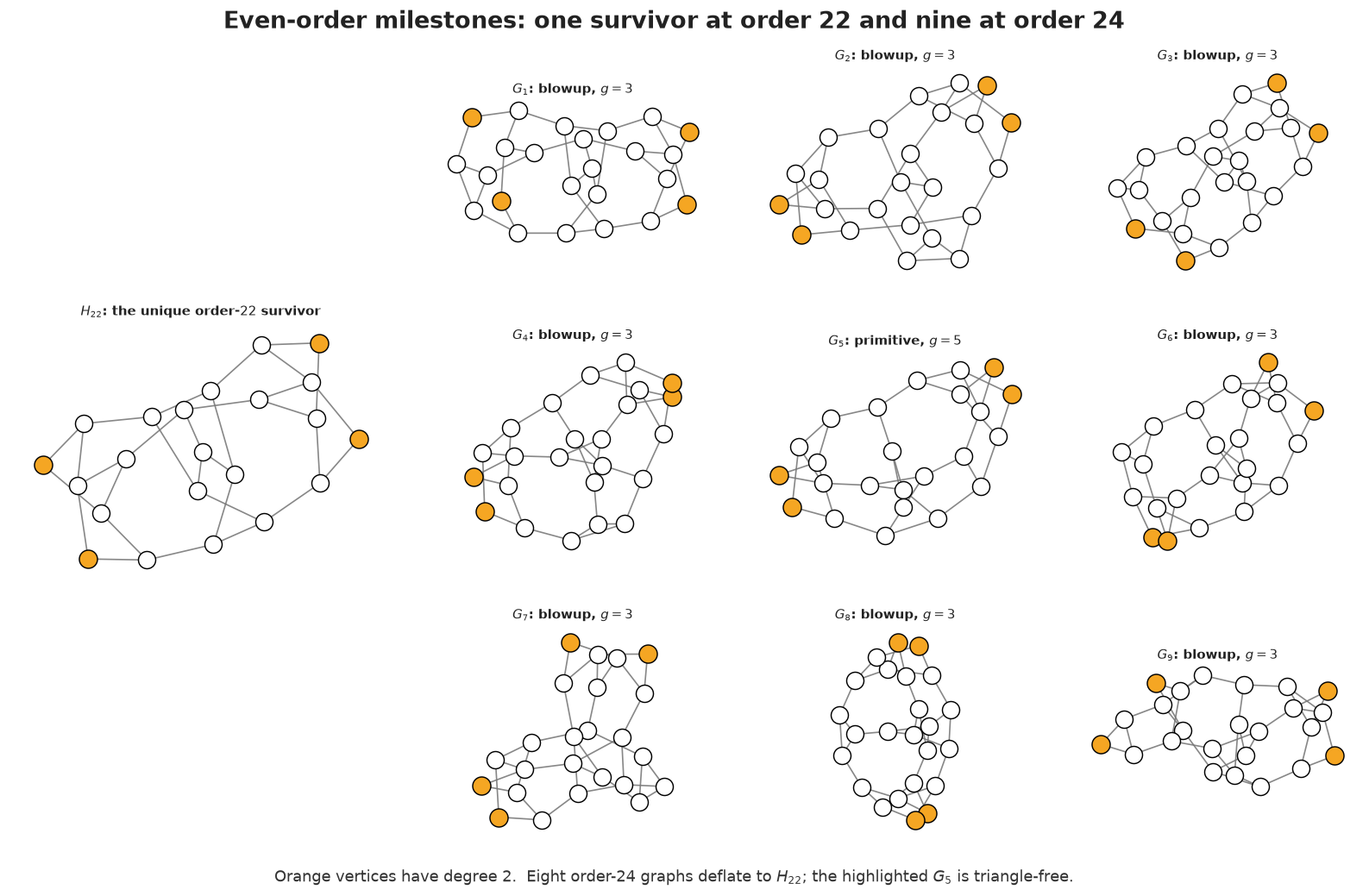 Order-22 and order-24 milestones