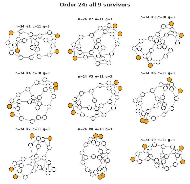 All nine order-24 survivors